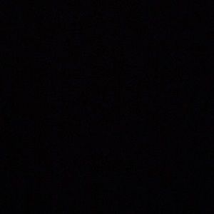 Meet your Posher, Eva